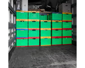 Zügelboxen gross